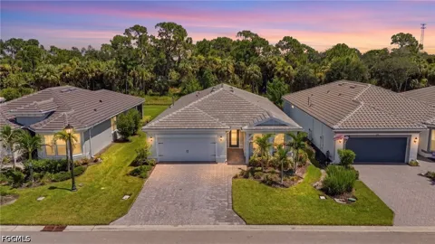 Paradise Tree Drive