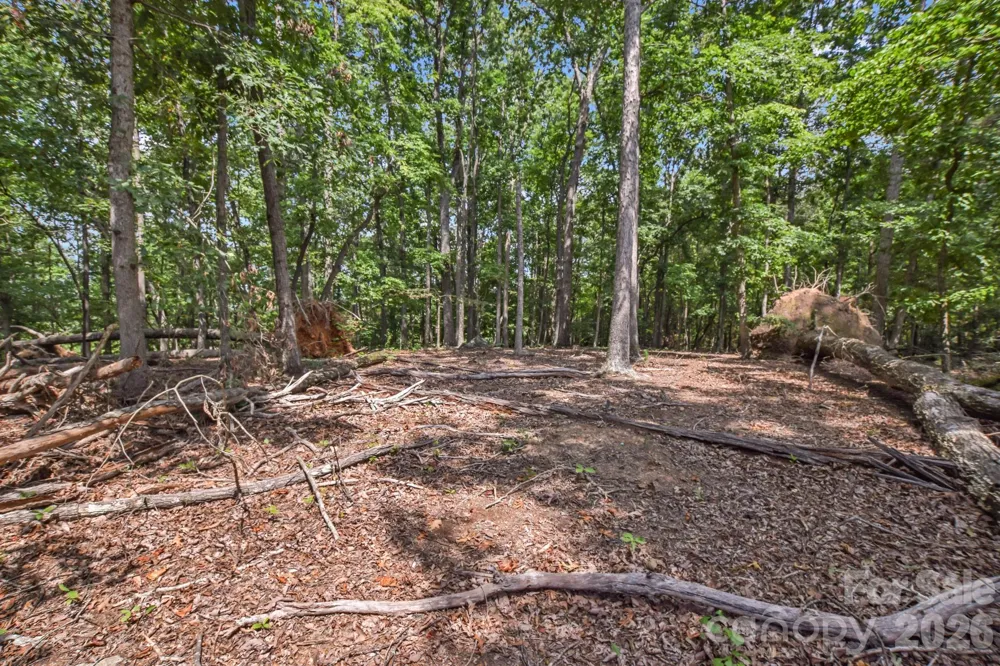 99999 Lail Road Rutherfordton, NC 28139