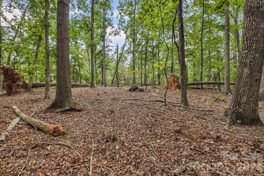 99999 Lail Road Rutherfordton, NC 28139