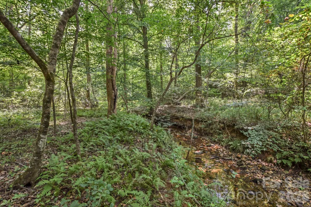 99999 Lail Road Rutherfordton, NC 28139