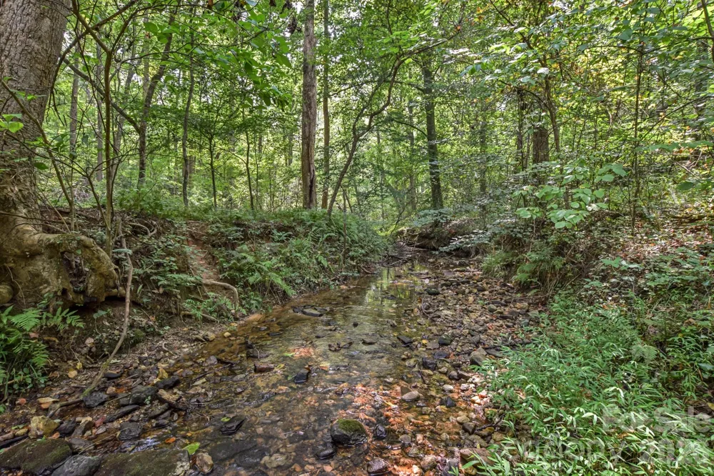 99999 Lail Road Rutherfordton, NC 28139
