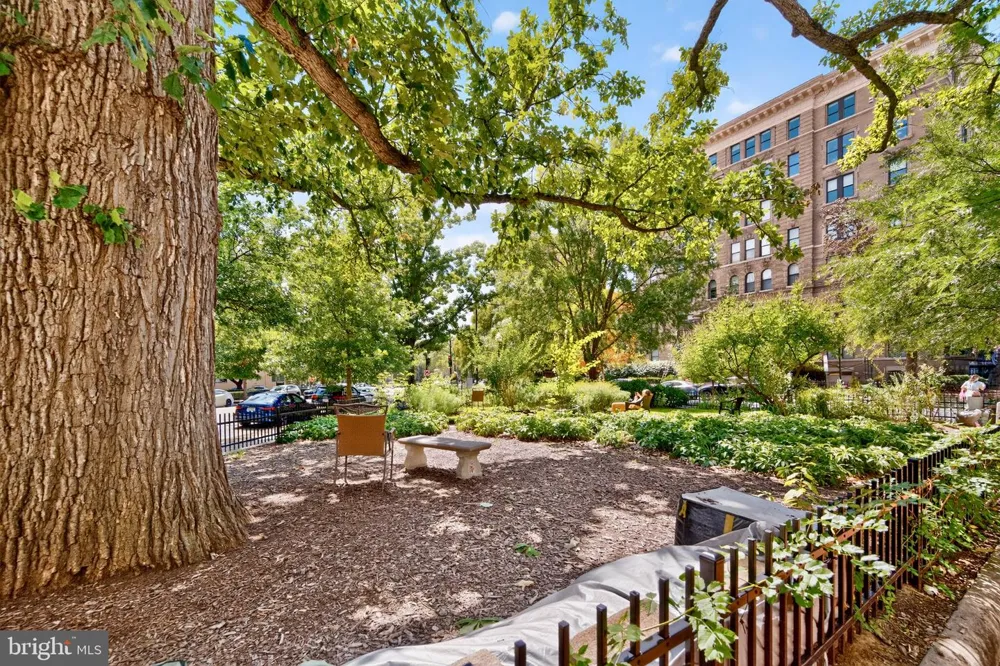 1621 T STREET NW #604 Washington, DC 20009