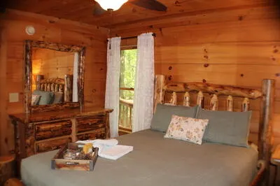90 Pine Tree Drive Blue Ridge, GA 30513