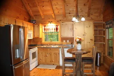 90 Pine Tree Drive Blue Ridge, GA 30513
