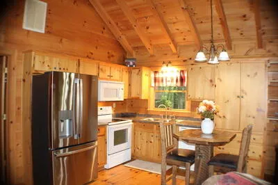 90 Pine Tree Drive Blue Ridge, GA 30513