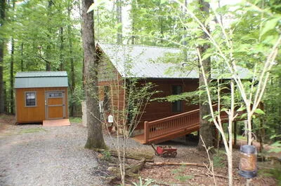 90 Pine Tree Drive Blue Ridge, GA 30513