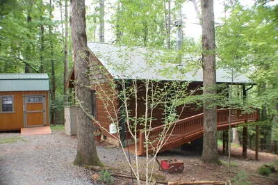 90 Pine Tree Drive Blue Ridge, GA 30513