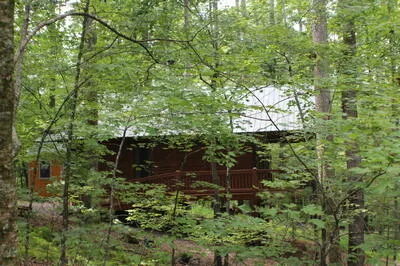 90 Pine Tree Drive Blue Ridge, GA 30513