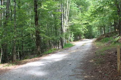 90 Pine Tree Drive Blue Ridge, GA 30513