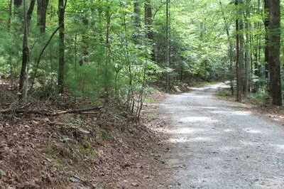 90 Pine Tree Drive Blue Ridge, GA 30513