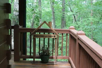 90 Pine Tree Drive Blue Ridge, GA 30513