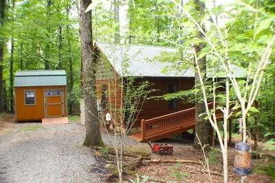90 Pine Tree Drive Blue Ridge, GA 30513