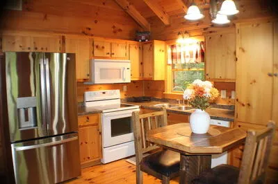90 Pine Tree Drive Blue Ridge, GA 30513