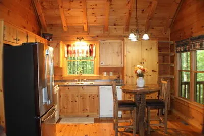 90 Pine Tree Drive Blue Ridge, GA 30513