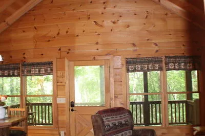 90 Pine Tree Drive Blue Ridge, GA 30513