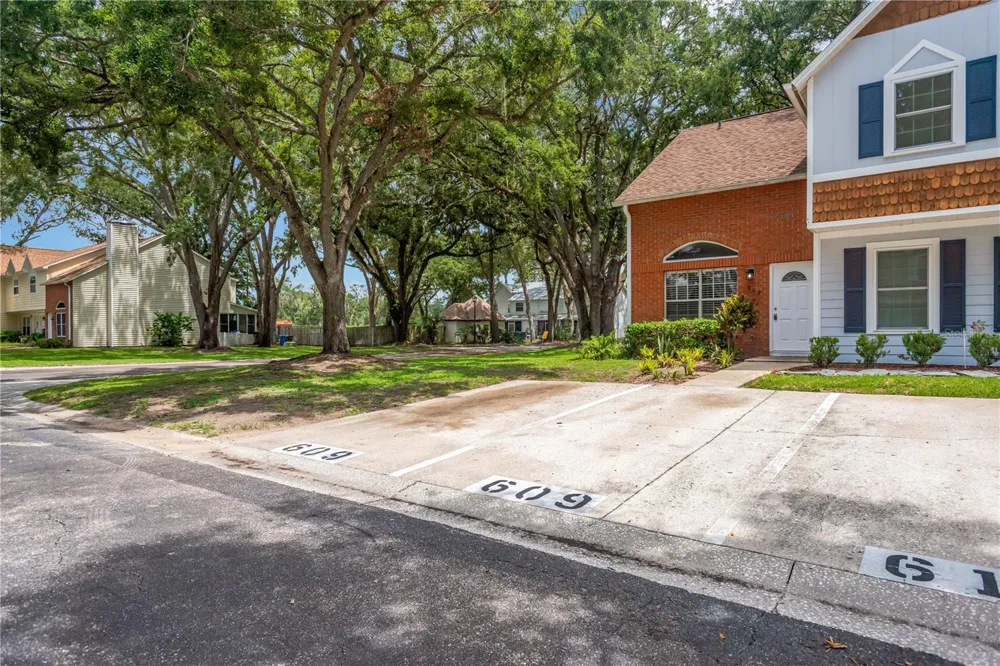 609 SAINT HENRY DRIVE Brandon, FL 33511