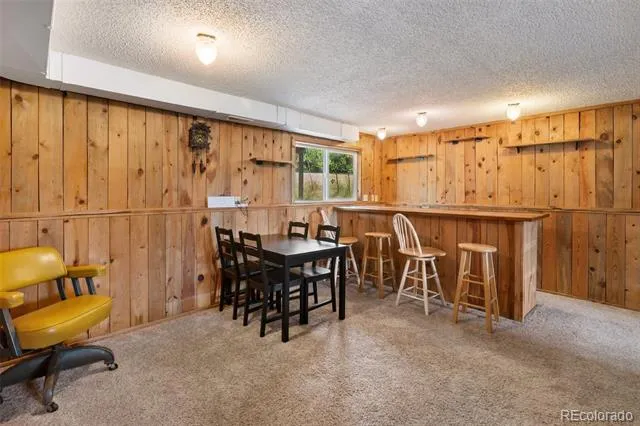 720 W Northwoods Drive Woodland Park, CO 80863