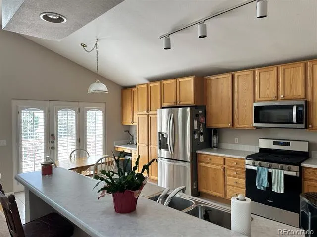 7564 Bantry Court Lone Tree, CO 80124