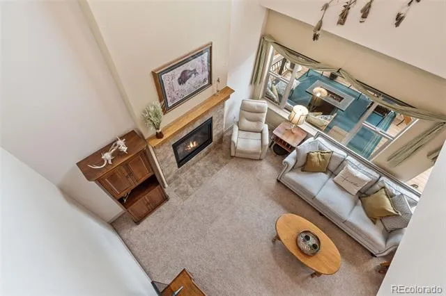 773 Sally Hill Court Monument, CO 80132