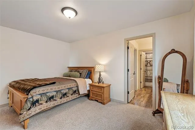 773 Sally Hill Court Monument, CO 80132