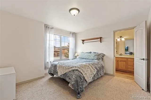 773 Sally Hill Court Monument, CO 80132