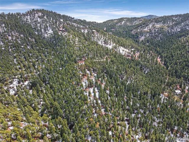 13125 Andiron Way Larkspur, CO 80118