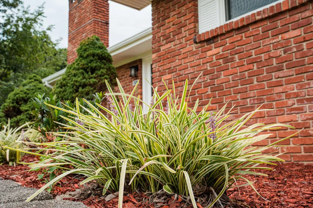 1329 Cloverdale Drive Hixson, TN 37343