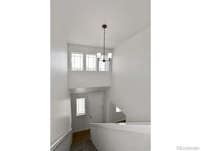 1039 Crown Sparrow Street Johnstown, CO 80534