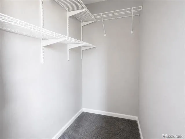2917 W 81st Avenue #F Westminster, CO 80031