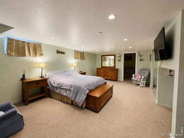 432 LaFever Street Walden, CO 80480