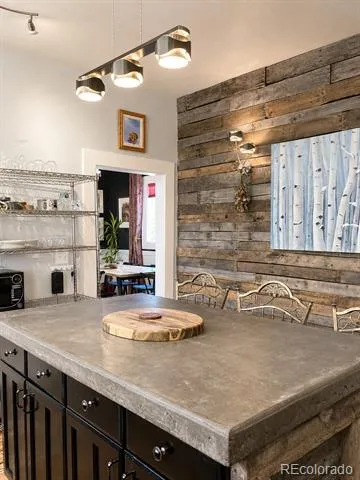 225 E 8th Street Leadville, CO 80461