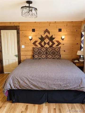 225 E 8th Street Leadville, CO 80461