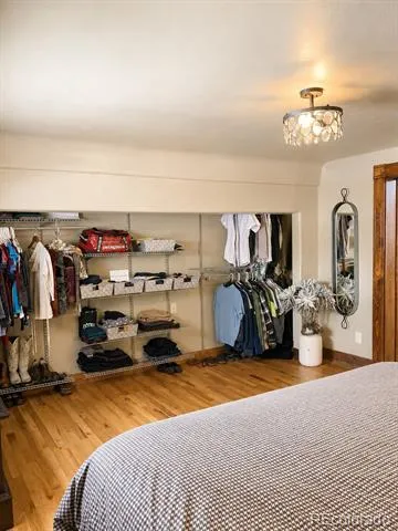225 E 8th Street Leadville, CO 80461