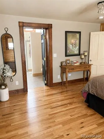 225 E 8th Street Leadville, CO 80461
