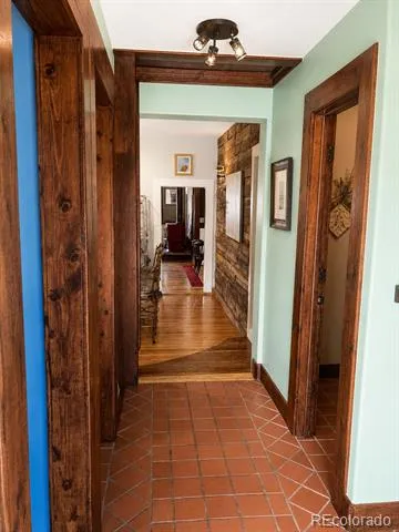 225 E 8th Street Leadville, CO 80461