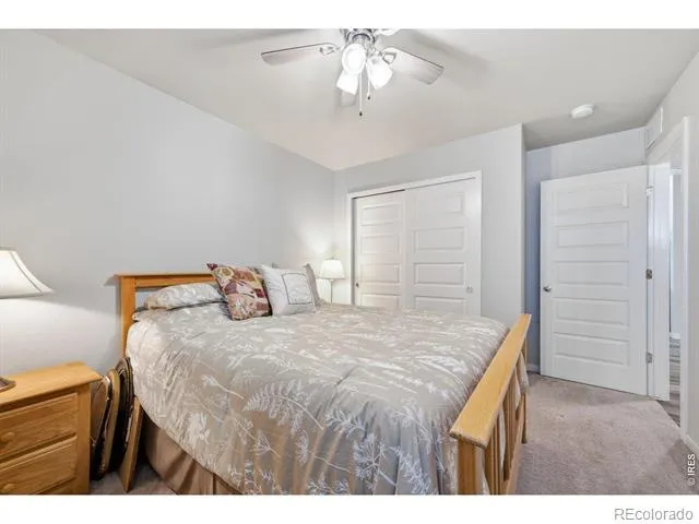 386 Pony Express Trail Ault, CO 80610