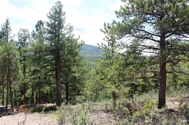 01 Golconda Mine Road Central City, CO 80427