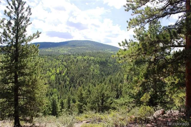 01 Golconda Mine Road Central City, CO 80427
