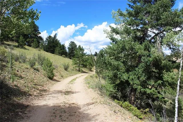 01 Golconda Mine Road Central City, CO 80427