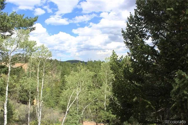 01 Golconda Mine Road Central City, CO 80427