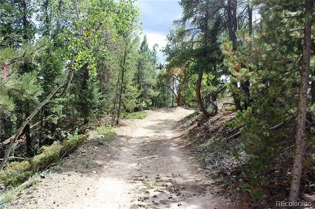 01 Golconda Mine Road Central City, CO 80427