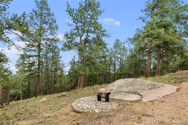 127 Carlton Circle Florissant, CO 80816