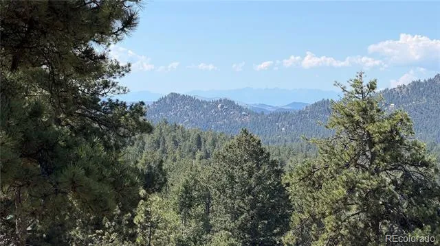 127 Carlton Circle Florissant, CO 80816