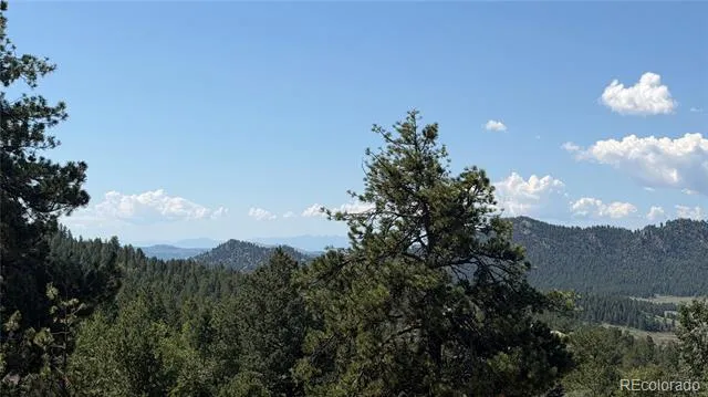127 Carlton Circle Florissant, CO 80816