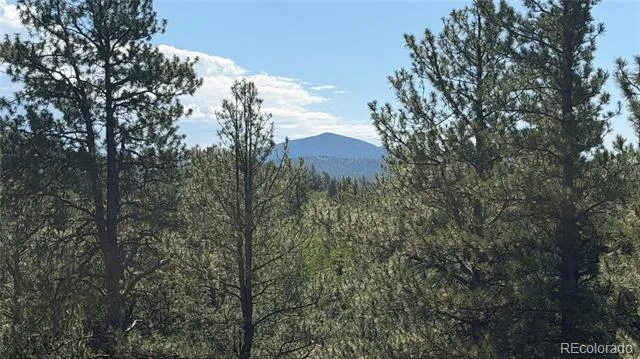 127 Carlton Circle Florissant, CO 80816