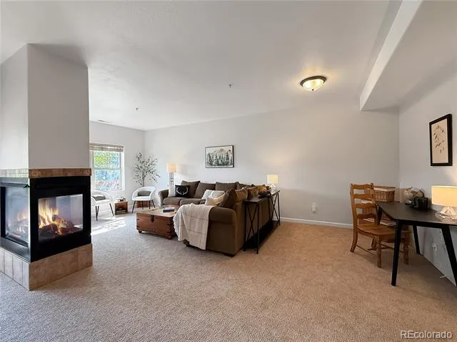 37 Waterside Court #C 206 Fraser, CO 80442