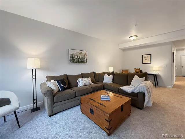 37 Waterside Court #C 206 Fraser, CO 80442
