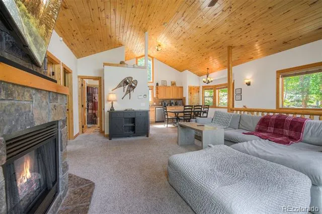 272 Porcupine Road Fairplay, CO 80440