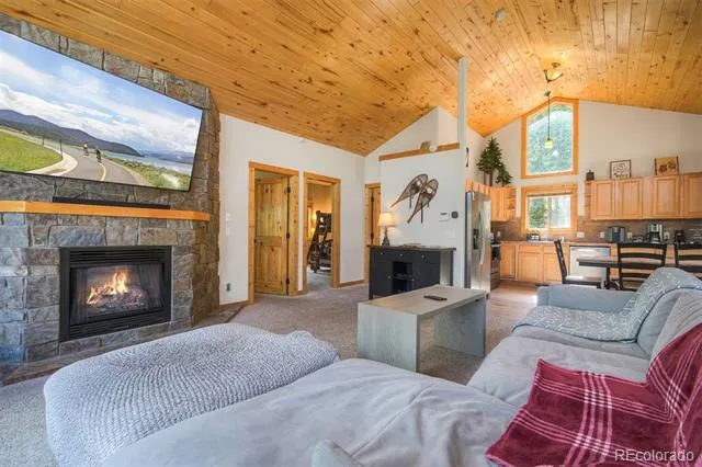 272 Porcupine Road Fairplay, CO 80440
