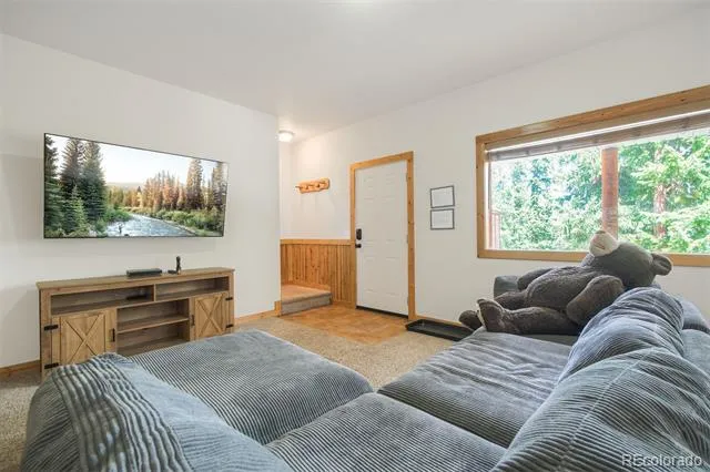 272 Porcupine Road Fairplay, CO 80440